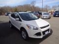 2016 White Platinum Metallic Ford Escape SE 4WD  photo #1