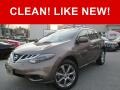 Tinted Bronze 2013 Nissan Murano LE AWD