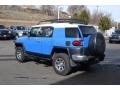 2007 Voodoo Blue Toyota FJ Cruiser 4WD  photo #4