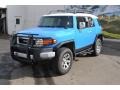 2007 Voodoo Blue Toyota FJ Cruiser 4WD  photo #5