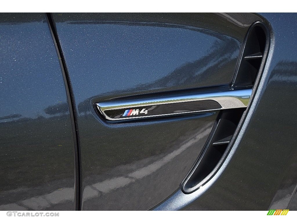 2015 BMW M4 Convertible Marks and Logos Photo #110978915