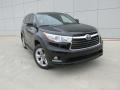 Midnight Black Metallic - Highlander Limited Platinum Photo No. 2