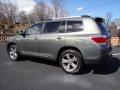 Cypress Green Pearl - Highlander Limited 4WD Photo No. 4