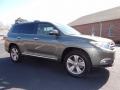 Cypress Green Pearl - Highlander Limited 4WD Photo No. 8