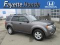 Sterling Grey Metallic 2010 Ford Escape XLT V6 4WD