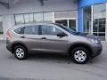 2013 Urban Titanium Metallic Honda CR-V LX AWD  photo #2