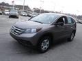 2013 Urban Titanium Metallic Honda CR-V LX AWD  photo #5