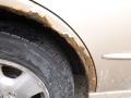 Naples Gold Metallic - Accord EX V6 Sedan Photo No. 5
