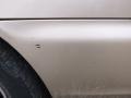 Naples Gold Metallic - Accord EX V6 Sedan Photo No. 15