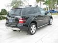 Black - ML 350 4Matic Photo No. 5