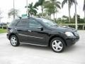 Black - ML 350 4Matic Photo No. 6