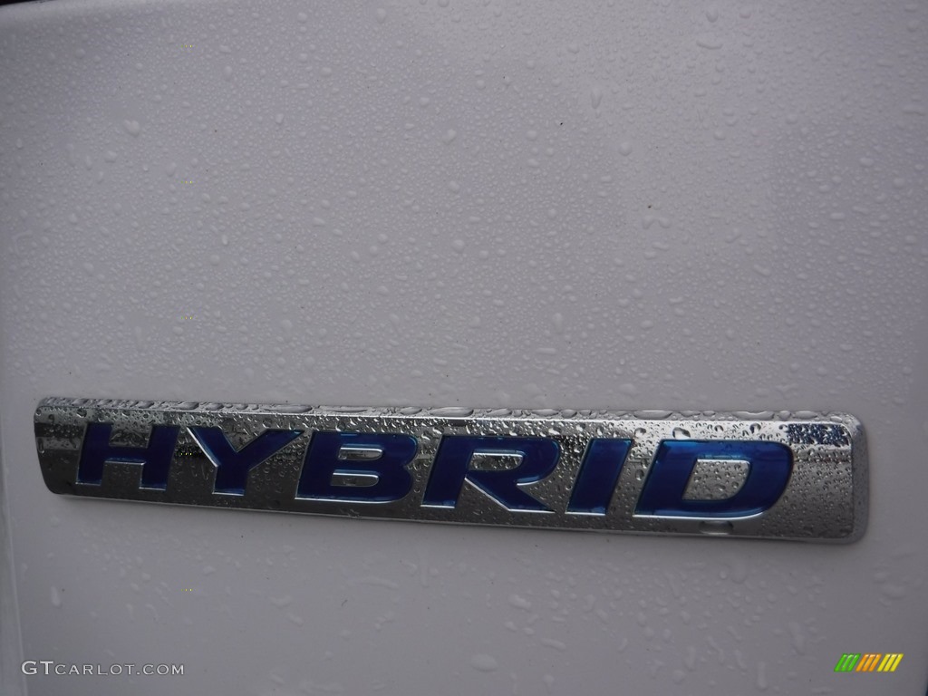 2010 Insight Hybrid EX - Spectrum White Pearl / Gray photo #9