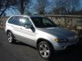 Titanium Silver Metallic - X5 4.4i Photo No. 1
