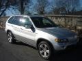 2005 Titanium Silver Metallic BMW X5 4.4i  photo #1