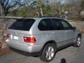 Titanium Silver Metallic - X5 4.4i Photo No. 3