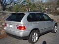 2005 Titanium Silver Metallic BMW X5 4.4i  photo #3