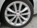 Quicksilver Metallic - Verano Convenience Photo No. 41