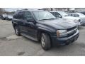 2007 Black Chevrolet TrailBlazer LT  photo #8