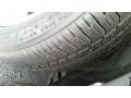Black Clear Coat - Avenger R/T Photo No. 19