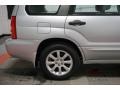 Platinum Silver Metallic - Forester 2.5 XS Photo No. 60