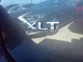 Magnetic Metallic - Expedition XLT Photo No. 8