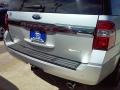 Ingot Silver Metallic - Expedition XLT Photo No. 15