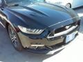 Shadow Black - Mustang GT Coupe Photo No. 3