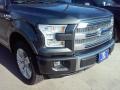 Magnetic - F150 Platinum SuperCrew 4x4 Photo No. 35