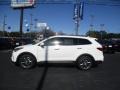 2017 Monaco White Hyundai Santa Fe SE  photo #6