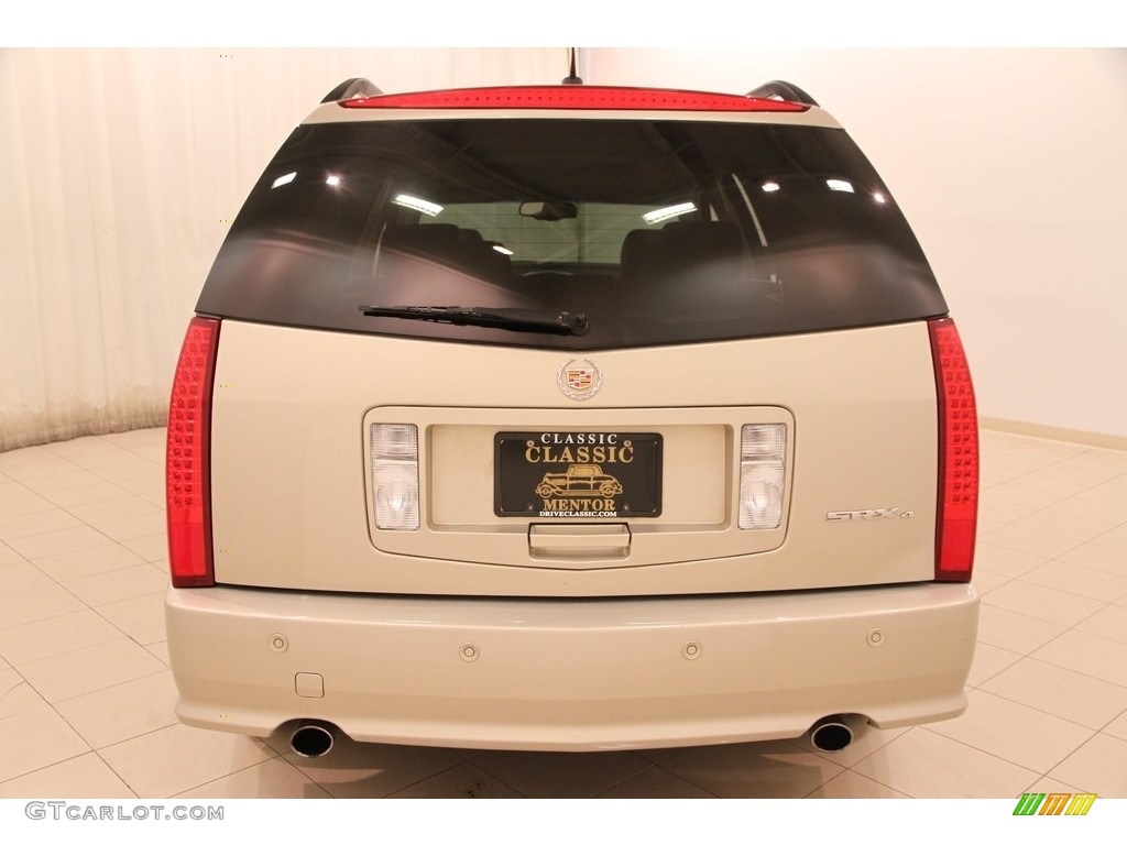 2008 SRX 4 V6 AWD - Gold Mist / Cashmere/Cocoa photo #20