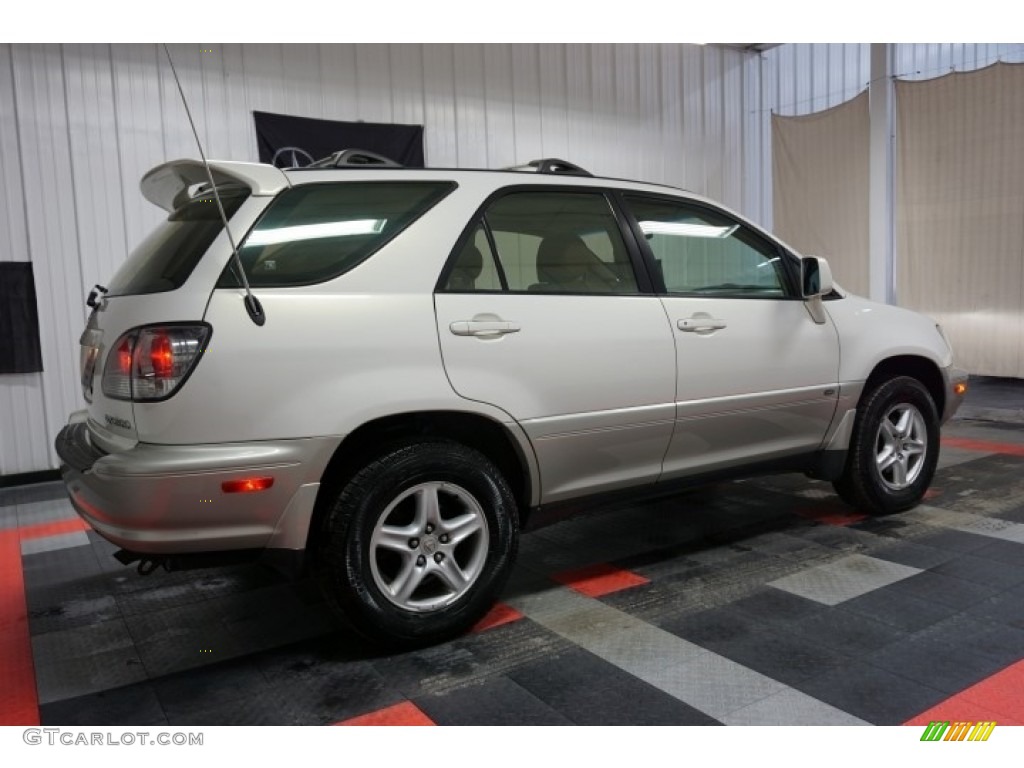2001 RX 300 AWD - White Gold Crystal / Ivory photo #7