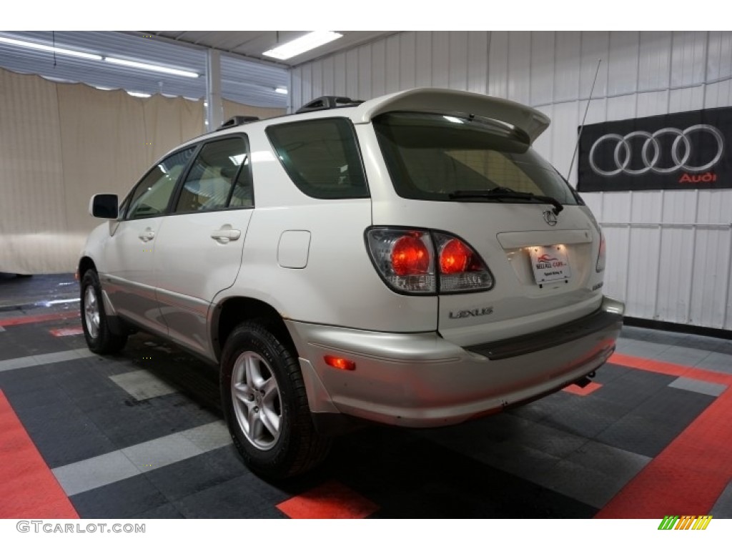 2001 RX 300 AWD - White Gold Crystal / Ivory photo #10