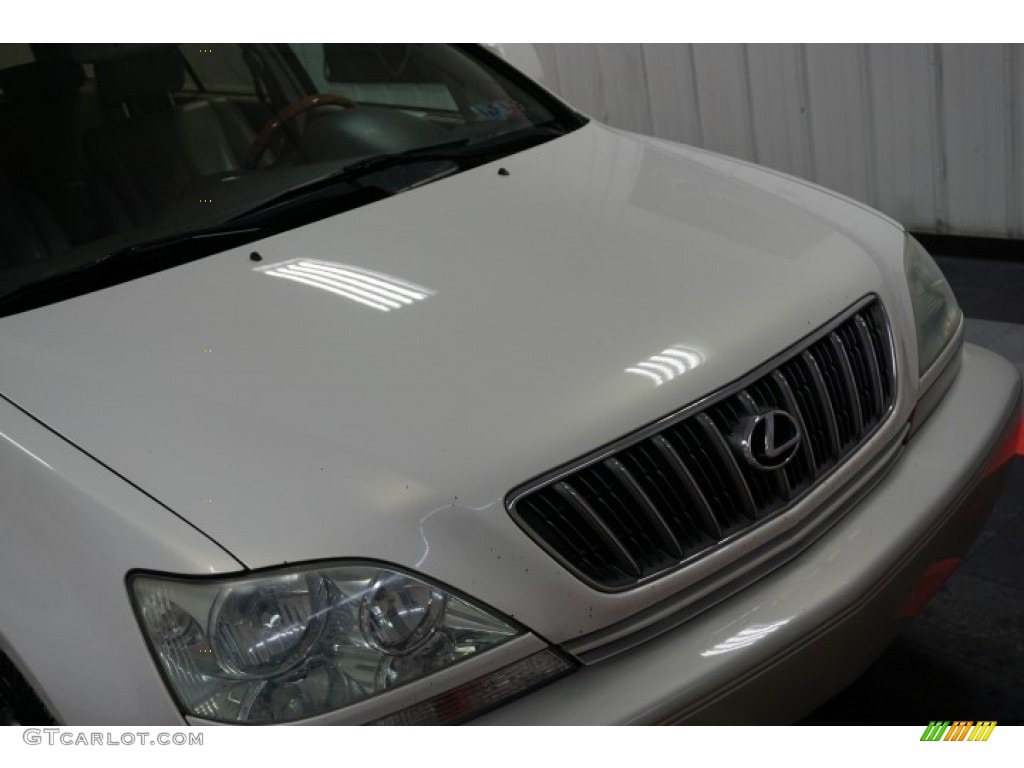 2001 RX 300 AWD - White Gold Crystal / Ivory photo #56