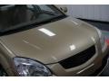 Cashmere Beige - Rio LX Sedan Photo No. 44