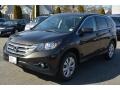 Kona Coffee Metallic - CR-V EX AWD Photo No. 7