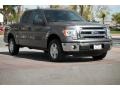 Sterling Grey 2014 Ford F150 XLT SuperCrew