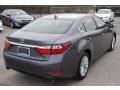 Nebula Gray Pearl - ES 350 Photo No. 5