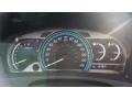 Magnetic Gray Metallic - Venza AWD Photo No. 16