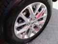 Ruby Red Metallic - Expedition Limited Photo No. 3