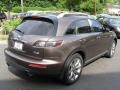 Beryllium 16 Metallic - FX 35 AWD Photo No. 5