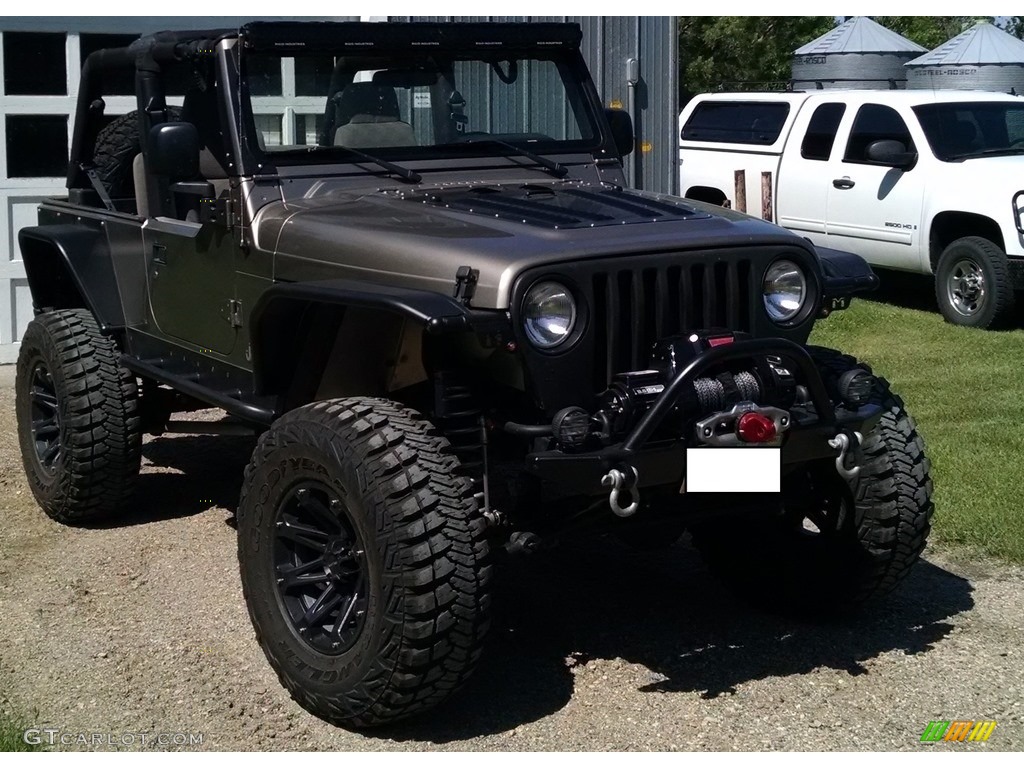 2005 Wrangler Unlimited 4x4 - Light Khaki Metallic / Khaki photo #4