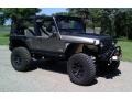 Light Khaki Metallic - Wrangler Unlimited 4x4 Photo No. 5