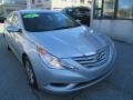 Radiant Silver - Sonata GLS Photo No. 8