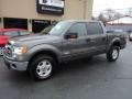 Sterling Grey - F150 XLT SuperCrew 4x4 Photo No. 1