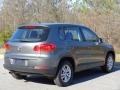 Pepper Gray Metallic - Tiguan S Photo No. 7