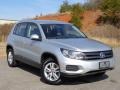 Reflex Silver Metallic - Tiguan SE Photo No. 4