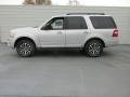 Ingot Silver Metallic - Expedition XLT Photo No. 6