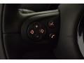 Crystal Silver Metallic - Countryman Cooper Photo No. 16