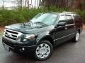 Tuxedo Black - Expedition EL Limited 4x4 Photo No. 2