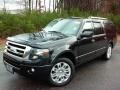 2014 Tuxedo Black Ford Expedition EL Limited 4x4  photo #2